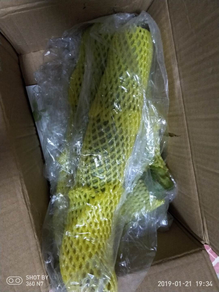 【京东农场】潍坊潍县水果青萝卜 白萝卜约2.5kg 火锅食材 坏果包赔 产地直发怎么样，好用吗，口碑，心得，评价，试用报告,第2张