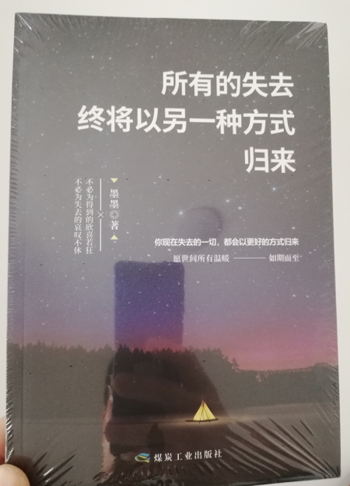 99元10本 所有失去的都会以另一种方式归来励志书籍心灵鸡汤成功学正能量青春文学小说抖音畅销书排行榜怎么样，好用吗，口碑，心得，评价，试用报告,第2张