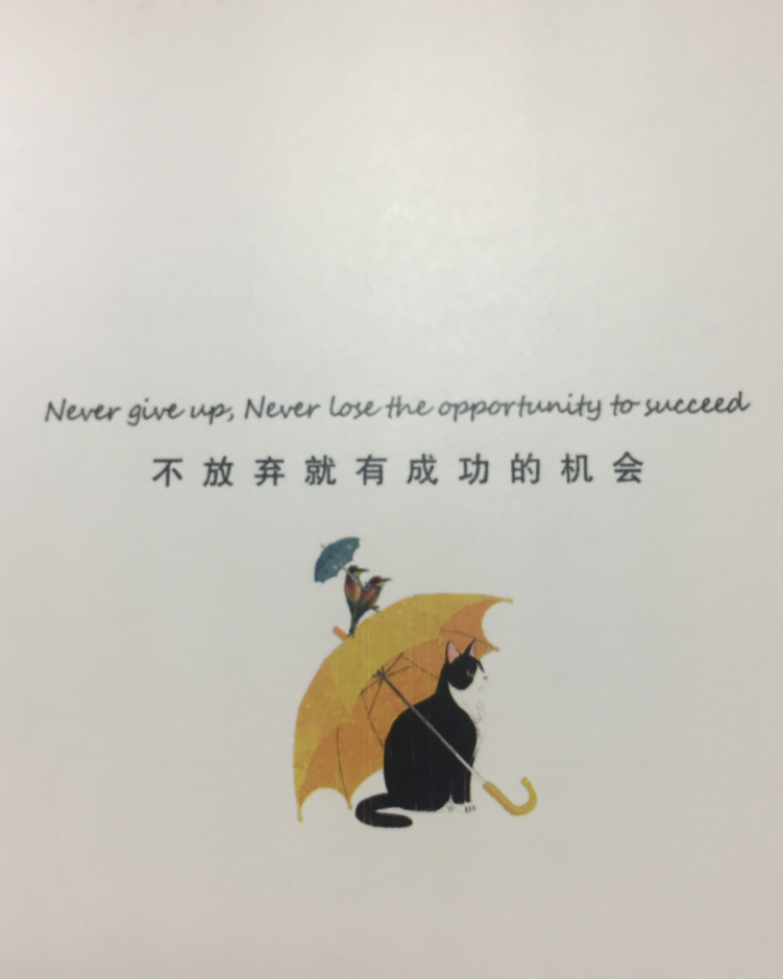 被嘲笑的梦想 总有会让你闪闪发亮 人生哲理书青春励志书籍 心灵鸡汤情绪管理心态心灵 创业励志怎么样，好用吗，口碑，心得，评价，试用报告,第3张