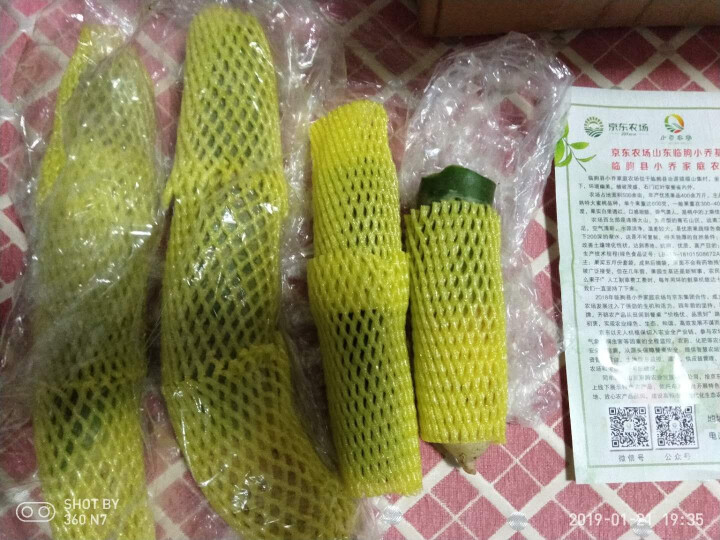 【京东农场】潍坊潍县水果青萝卜 白萝卜约2.5kg 火锅食材 坏果包赔 产地直发怎么样，好用吗，口碑，心得，评价，试用报告,第3张