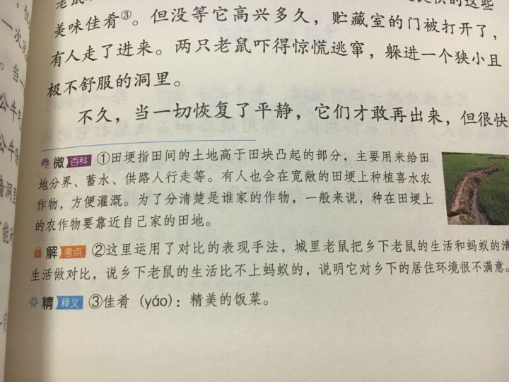 快乐读书吧三年级下册中国古代寓言克雷洛夫寓言拉封丹寓言伊索寓言一二三年级儿童文学课外阅读故事书怎么样，好用吗，口碑，心得，评价，试用报告,第7张