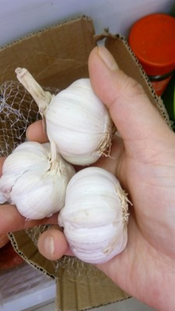 【富硒大蒜】山东金乡富硒大蒜  新蒜农家自种 白皮大蒜头干蒜 新鲜蔬菜 干蒜250g装怎么样，好用吗，口碑，心得，评价，试用报告,第4张