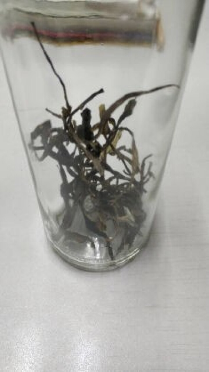 昔归古树普洱茶生茶 散茶 试饮装怎么样，好用吗，口碑，心得，评价，试用报告,第4张