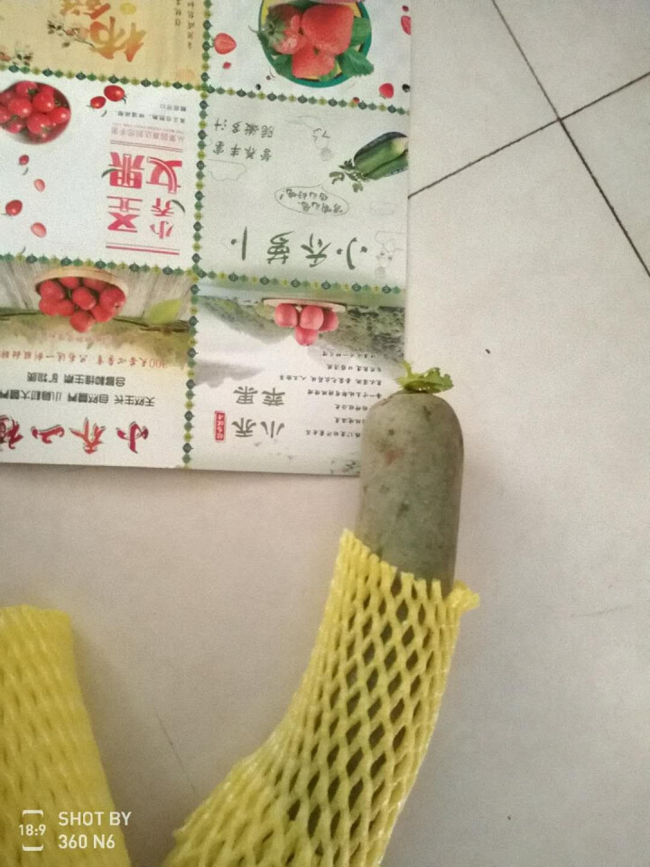 【京东农场】潍坊潍县水果青萝卜 白萝卜约2.5kg 火锅食材 坏果包赔 产地直发怎么样，好用吗，口碑，心得，评价，试用报告,第2张