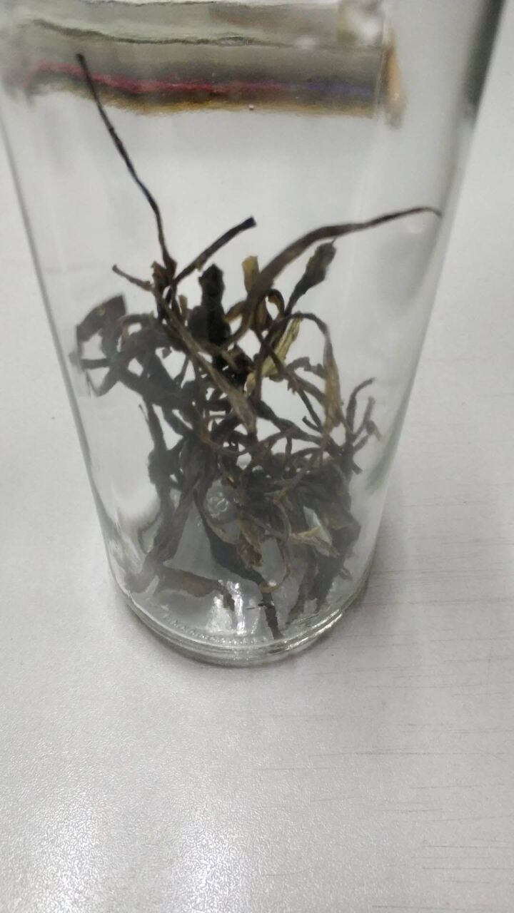 昔归古树普洱茶生茶 散茶 试饮装怎么样，好用吗，口碑，心得，评价，试用报告,第3张