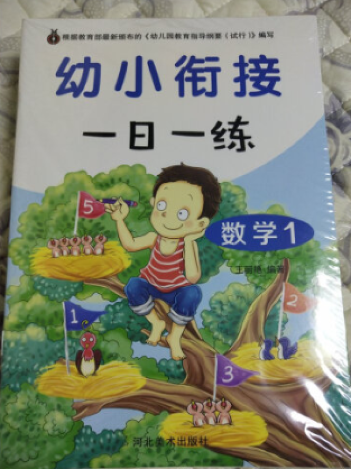 幼小衔接一日一练 数学+拼音+语言+偏旁部首全十册 幼儿早教书 根据幼儿园教育指导纲要试行编写怎么样，好用吗，口碑，心得，评价，试用报告,第2张