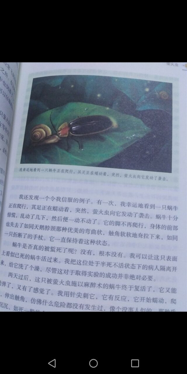 红星照耀中国+昆虫记人民教育出版社八年级上册统编语文教材配套阅读教育部指定人教版昆虫记红星照耀中国怎么样，好用吗，口碑，心得，评价，试用报告,第5张