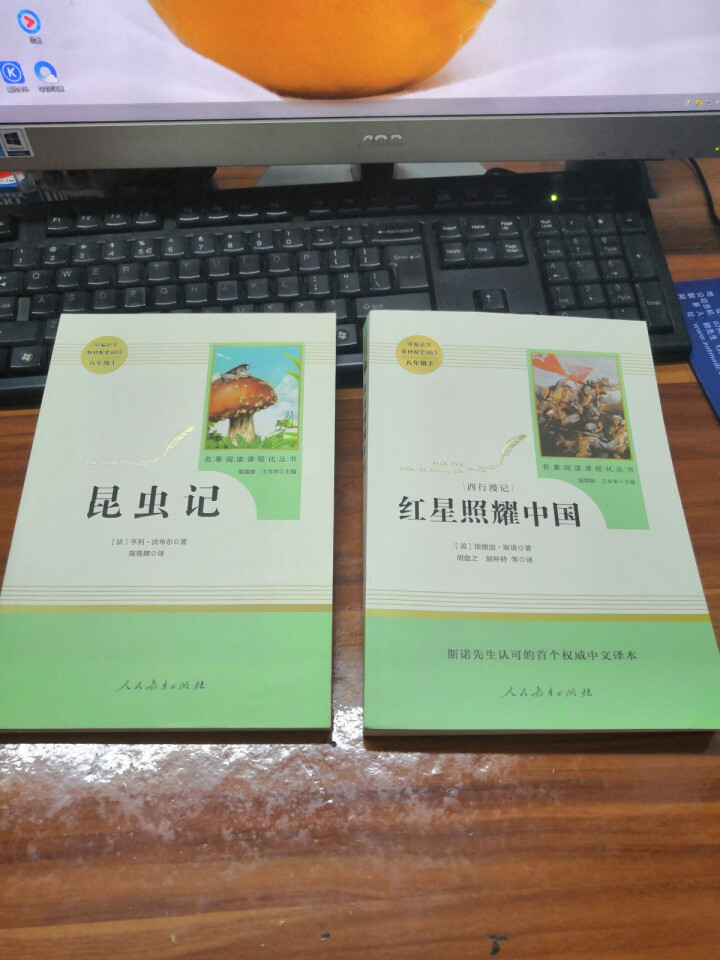 红星照耀中国+昆虫记人民教育出版社八年级上册统编语文教材配套阅读教育部指定人教版昆虫记红星照耀中国怎么样，好用吗，口碑，心得，评价，试用报告,第2张