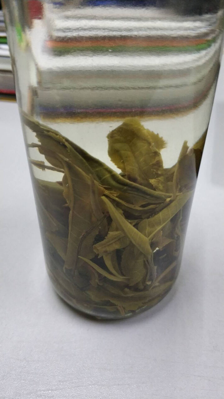 昔归古树普洱茶生茶 散茶 试饮装怎么样，好用吗，口碑，心得，评价，试用报告,第6张