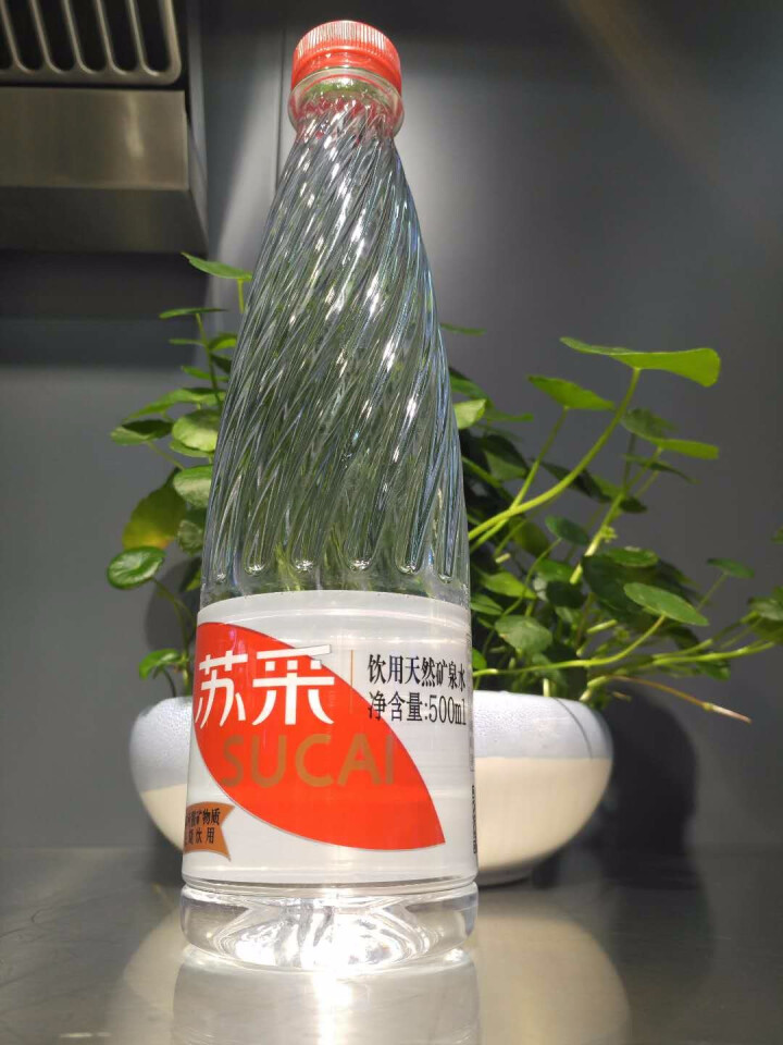 恒大 苏采天然矿泉水 饮用水 非纯净水 个性瓶身高颜值 500ml*1瓶（样品不售卖）怎么样，好用吗，口碑，心得，评价，试用报告,第2张