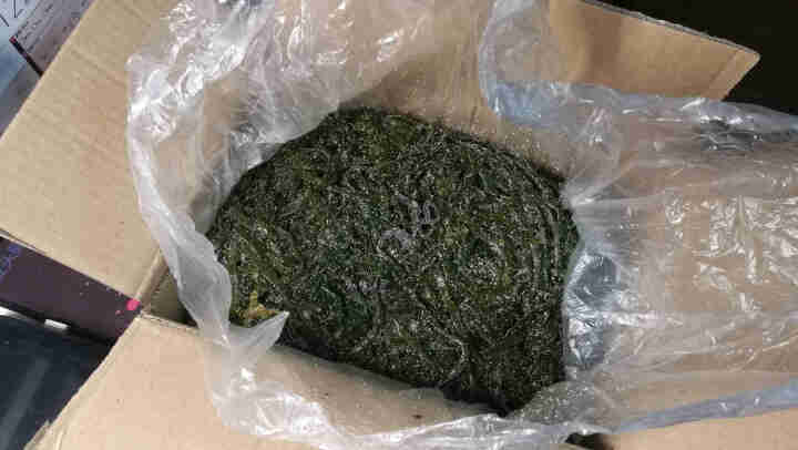 【鼎乾生鲜专营店】荣城盐渍海带丝 新鲜半干货厚 海带结净重2.5kg 可凉拌 涮火锅 煲汤 B类海带丝每件净重2.5kg怎么样，好用吗，口碑，心得，评价，试用报,第2张