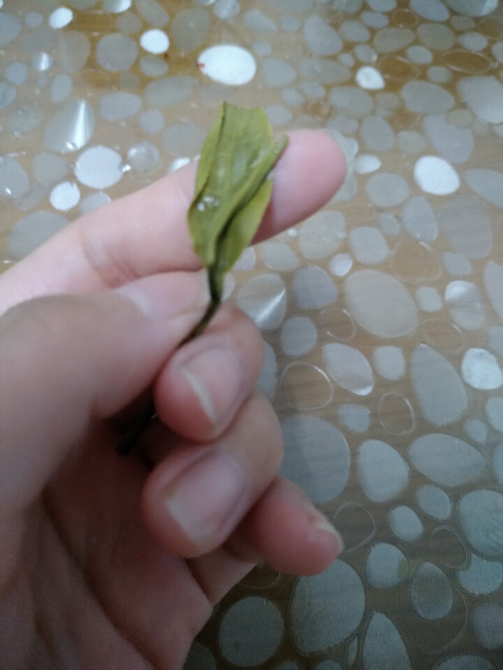 昔归古树普洱茶生茶 散茶 试饮装怎么样，好用吗，口碑，心得，评价，试用报告,第4张