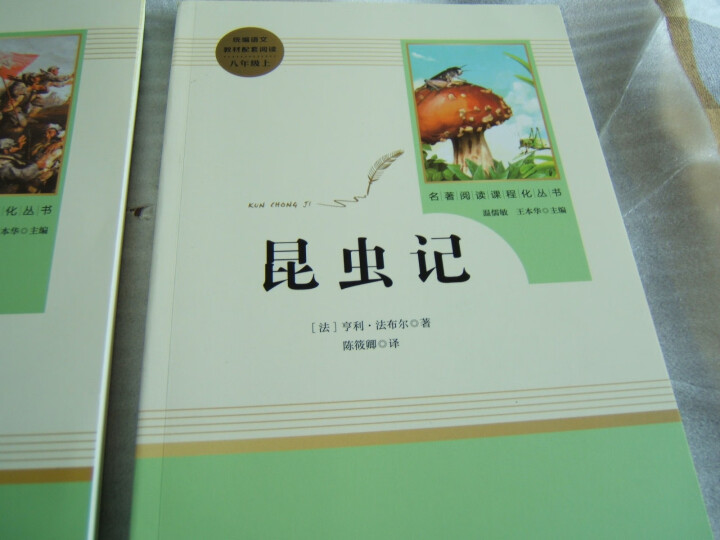 红星照耀中国+昆虫记人民教育出版社八年级上册统编语文教材配套阅读教育部指定人教版昆虫记红星照耀中国怎么样，好用吗，口碑，心得，评价，试用报告,第3张