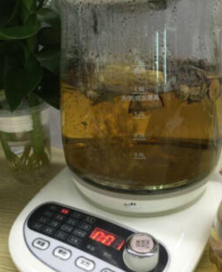 小熊（Bear） 养生壶煮茶壶花茶壶煎药壶全自动家用玻璃一体1.8升电热水壶保温 YSH,第4张