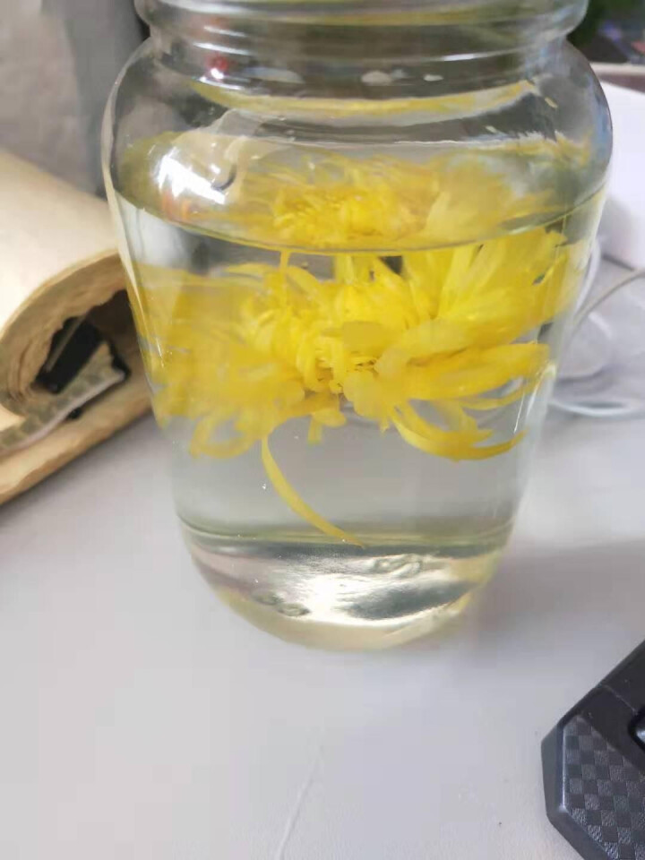 【首件68元100朵大花送杯】茗愿 菊花茶 金丝皇菊一朵一杯 大菊花金丝菊 搭特级金银花枸杞蒲公英茶 金丝皇菊100朵装怎么样，好用吗，口碑，心得，评价，试用报,第4张