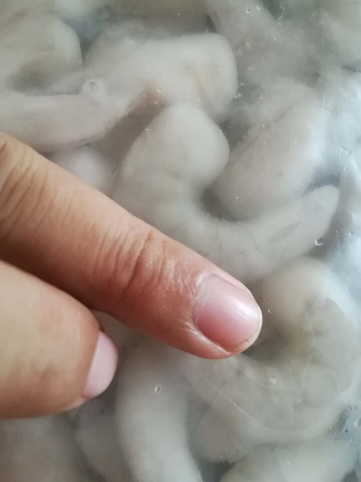 友鱼鲜生 青虾仁1kg（约100,第4张