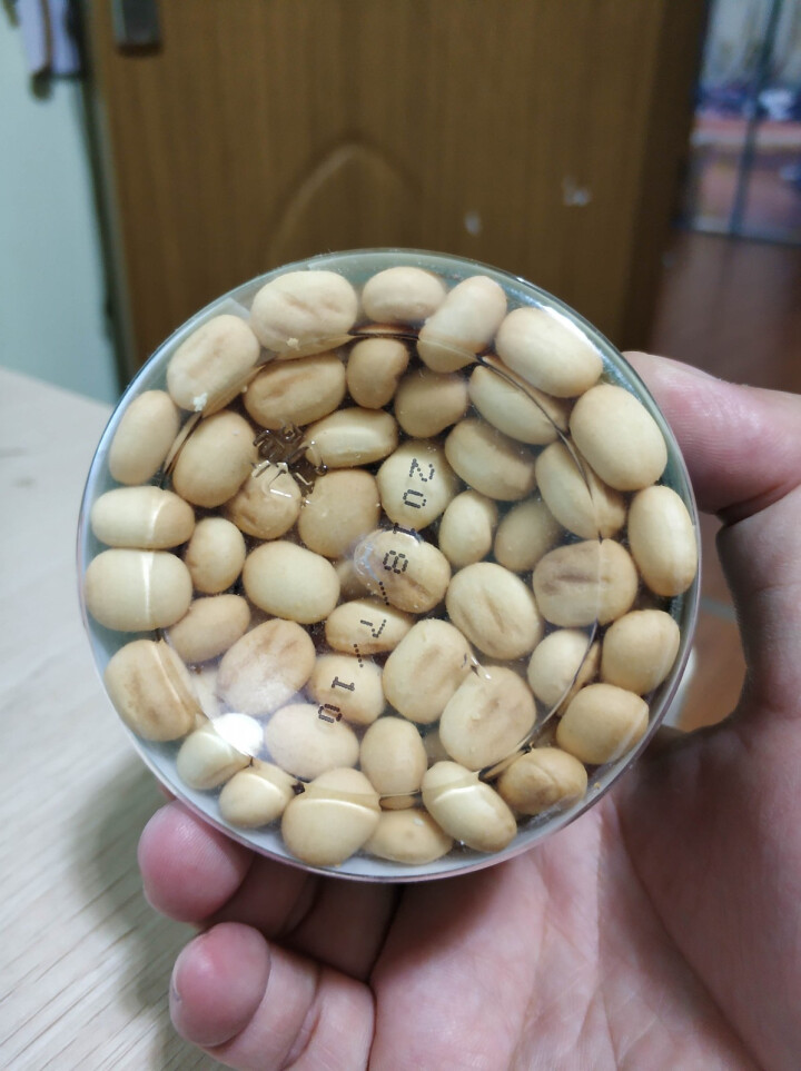 【满199减120】卡尔文 嘎嘣薯薯土豆棒原味饼干 馒头丸子休闲食品 休闲食品网红出游儿童零食 馒头丸子80g/罐怎么样，好用吗，口碑，心得，评价，试用报告,第4张