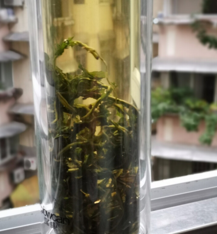 蒲公英茶 长白山野生特级罐装婆婆丁花草茶叶精选怎么样，好用吗，口碑，心得，评价，试用报告,第4张