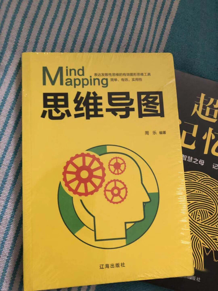 5册逻辑思维 最强大脑 超级记忆术 思维导图 思维风暴 有效的提升记忆提高左右脑思维智慧智商训练书怎么样，好用吗，口碑，心得，评价，试用报告,第3张