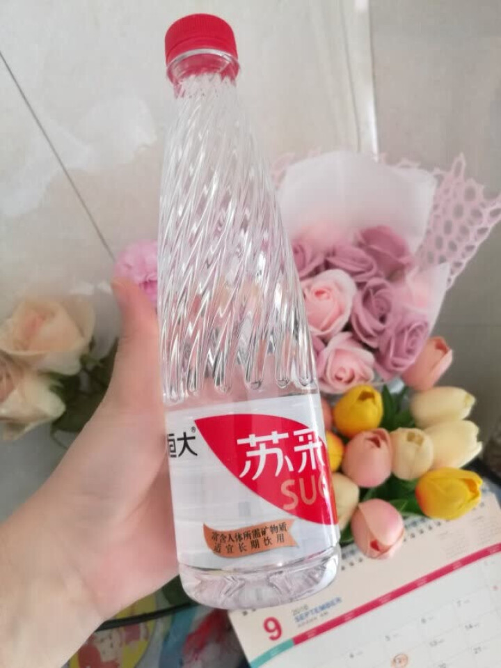 恒大 苏采天然矿泉水 饮用水 非纯净水 个性瓶身高颜值 500ml*1瓶（样品不售卖）怎么样，好用吗，口碑，心得，评价，试用报告,第3张