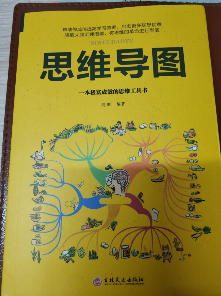 思维导图 思维训练书籍 启动大脑 逻辑思维书籍 逻辑学快速阅读学习记忆法大脑使用说明书 开发大脑思维怎么样，好用吗，口碑，心得，评价，试用报告,第2张