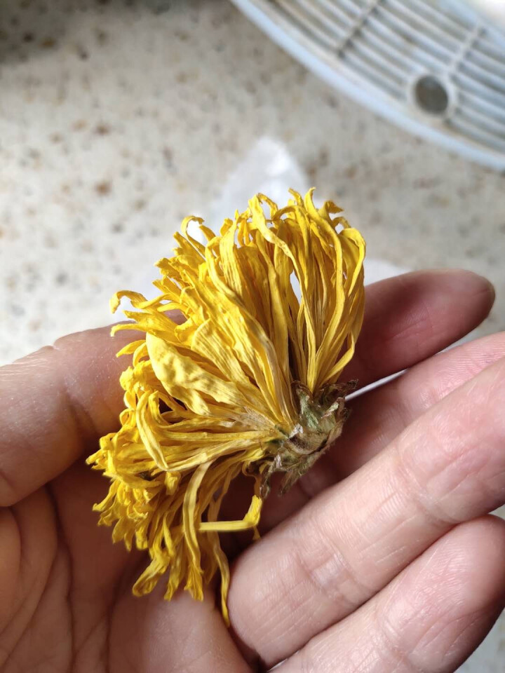 【买2送1再送水杯】花养花 金丝皇菊花茶去火菊花茶金丝黄菊茗品春夏清火去热可搭配枸杞一朵一杯 罐装20g怎么样，好用吗，口碑，心得，评价，试用报告,第2张