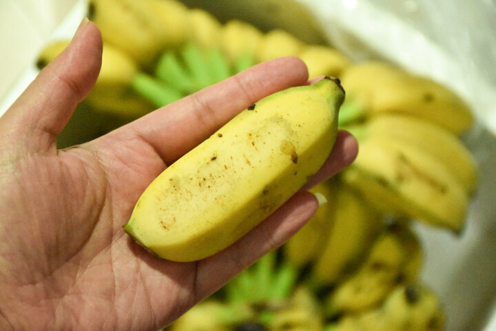 广西小米蕉 新鲜香蕉 现摘苹果蕉 应季新鲜水果 带箱10斤怎么样，好用吗，口碑，心得，评价，试用报告,第4张