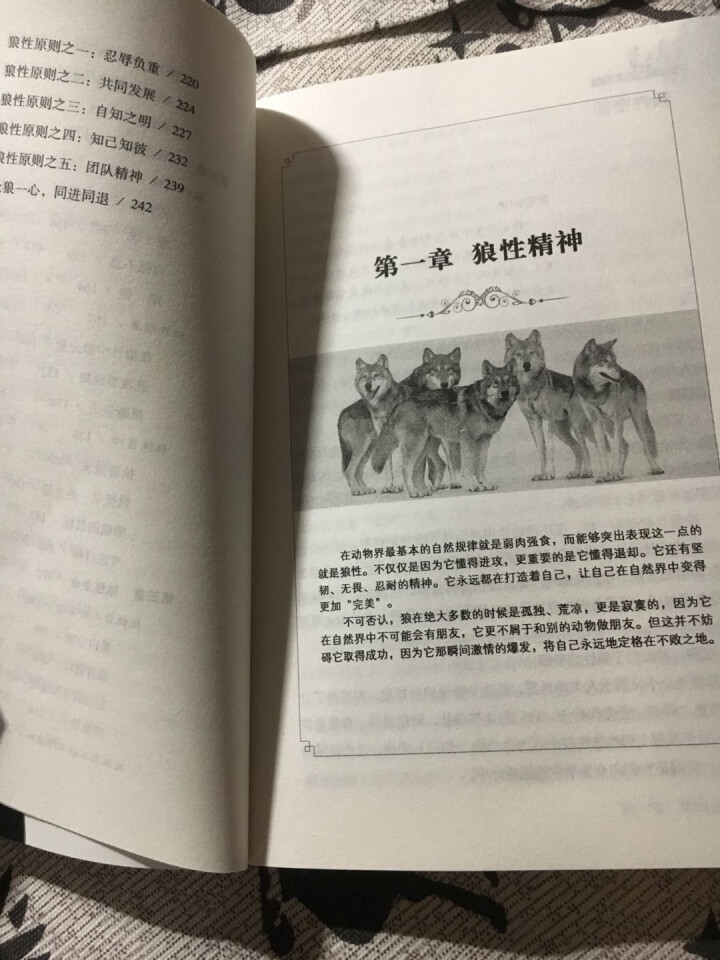 【任选3本19.8元】狼道（全新修订版）王宇著 励志书籍 成功学书 企业管理怎么样，好用吗，口碑，心得，评价，试用报告,第5张