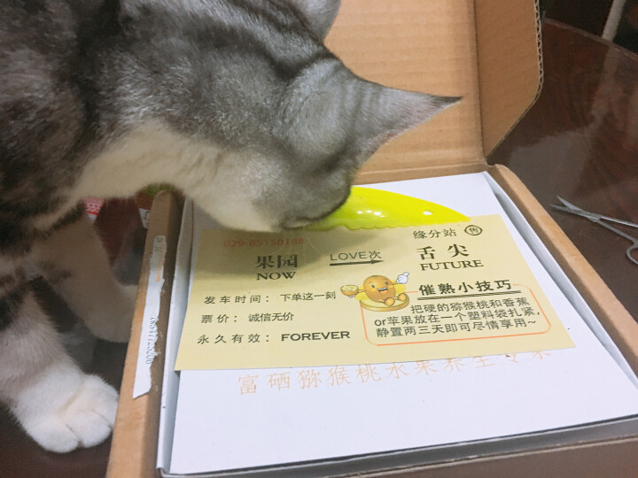 陕西周至猕猴桃绿心奇异果 生鲜 徐香猕猴桃大果单果100,第2张