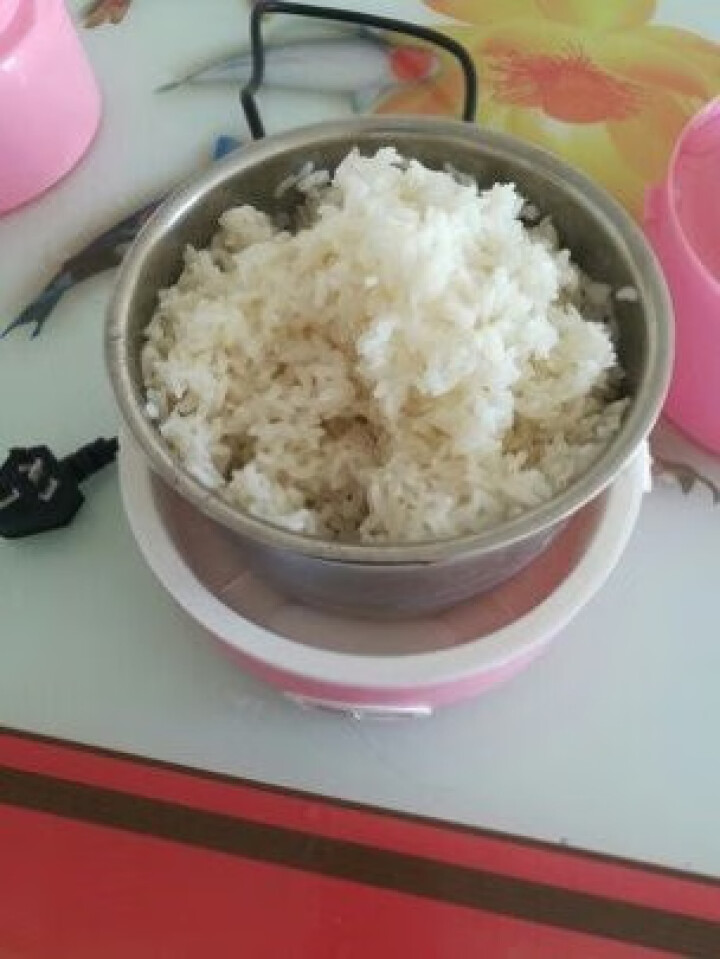 艾贝丽 电热饭盒 电饭盒家用插电不锈钢内胆1.2L2L220V1,第2张