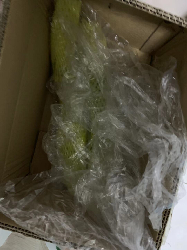 【京东农场】潍坊潍县水果青萝卜 白萝卜约2.5kg 火锅食材 坏果包赔 产地直发怎么样，好用吗，口碑，心得，评价，试用报告,第2张