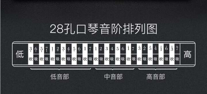 德国进口音簧28孔复音c调重音口琴高级成人专业演奏级初学者旗舰天鹅乐器 蓝色复音+自学礼品免费刻字怎么样，好用吗，口碑，心得，评价，试用报告,第6张