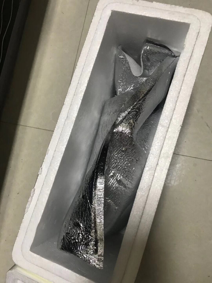 鲜多邦 渤海湾冰鲜鱿鱼500g 约2,第2张