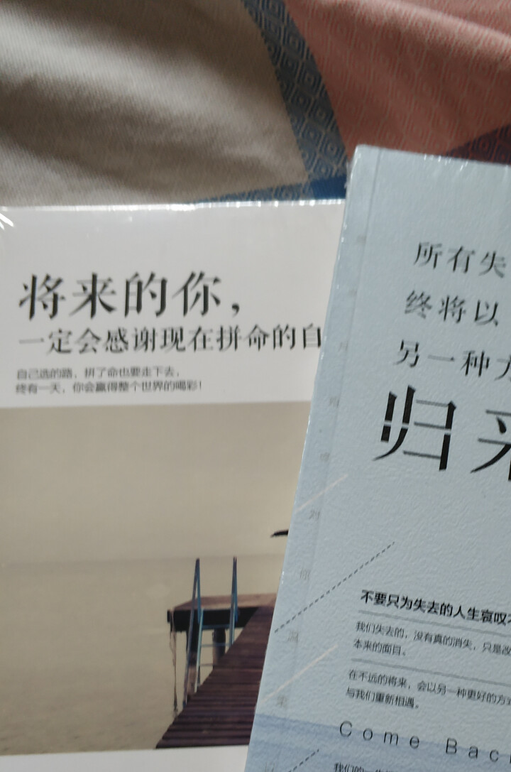 正版励志书籍 所有失去的都会终将以另一种方式归来 将来的你一定会感谢现在拼命的自己怎么样，好用吗，口碑，心得，评价，试用报告,第2张