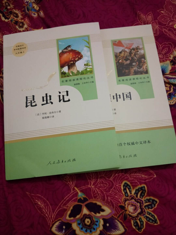 红星照耀中国+昆虫记人民教育出版社八年级上册统编语文教材配套阅读教育部指定人教版昆虫记红星照耀中国怎么样，好用吗，口碑，心得，评价，试用报告,第2张