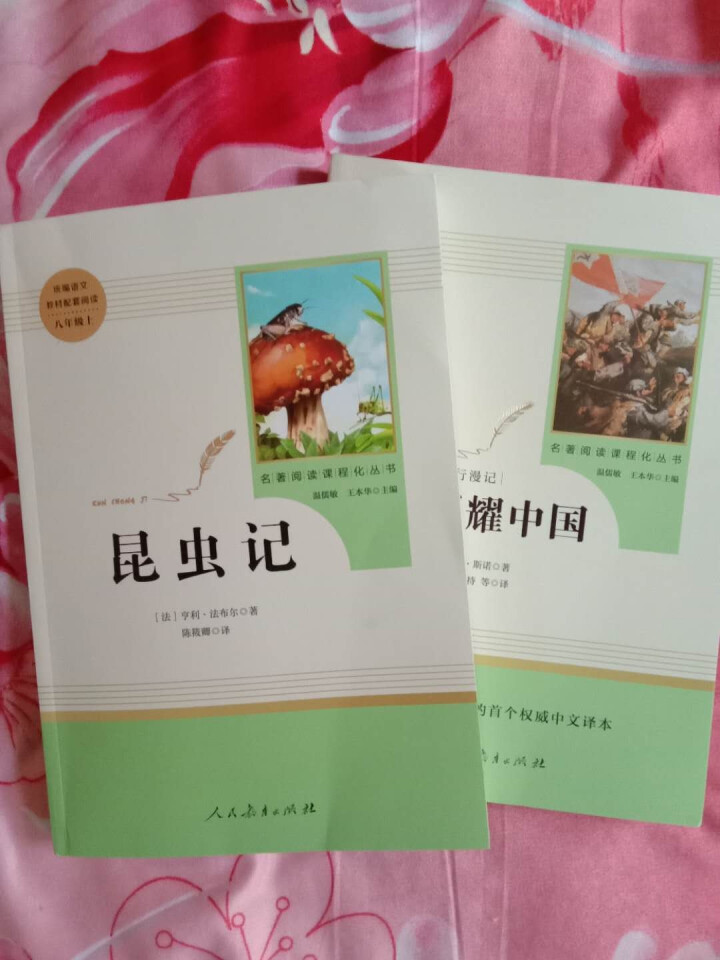 红星照耀中国+昆虫记人民教育出版社八年级上册统编语文教材配套阅读教育部指定人教版昆虫记红星照耀中国怎么样，好用吗，口碑，心得，评价，试用报告,第2张