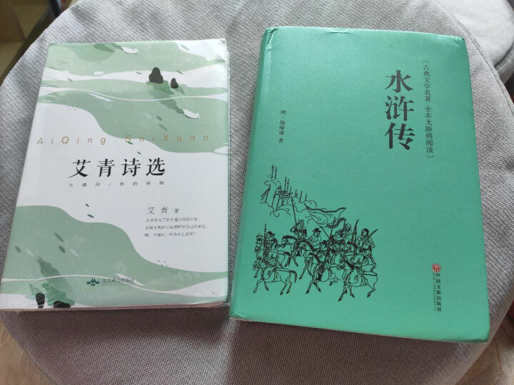 艾青诗选+水浒传 全集原著正版初中生学生九年级必读名著全套 初中学生诗集课外阅读青少年读物书籍新课标怎么样，好用吗，口碑，心得，评价，试用报告,第2张