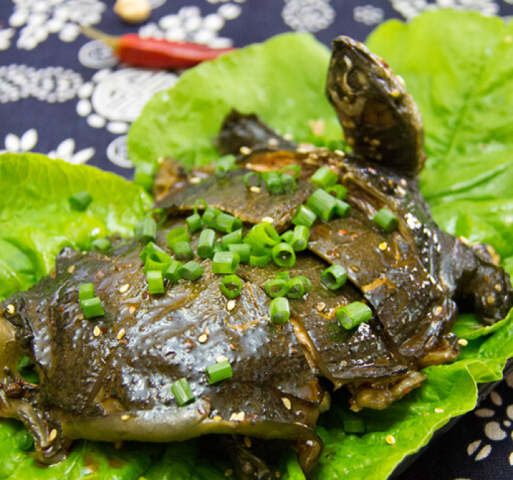 冷江甲鱼肉熟食即食卤甲鱼生态鳖私房菜200,第4张