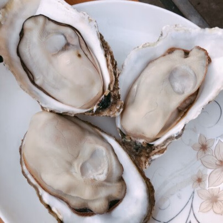 【活鲜】南泓村 乳山生蚝  鲜活牡蛎2.5kg  新鲜海蛎子 海鲜水产生蚝 刺身生蚝2.5kg (A规格,第2张