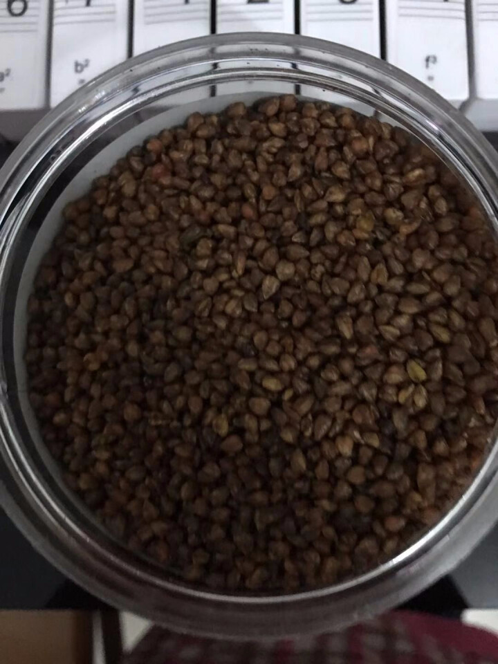 黑苦荞茶 四川凉山黑苦荞麦茶500G罐装特级怎么样，好用吗，口碑，心得，评价，试用报告,第4张