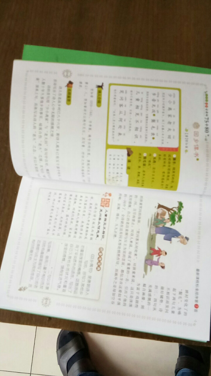 【彩版有声伴读】小学生必背古诗词75+80首注音解析小学教辅教材 全彩版古诗词75+80首怎么样，好用吗，口碑，心得，评价，试用报告,第4张