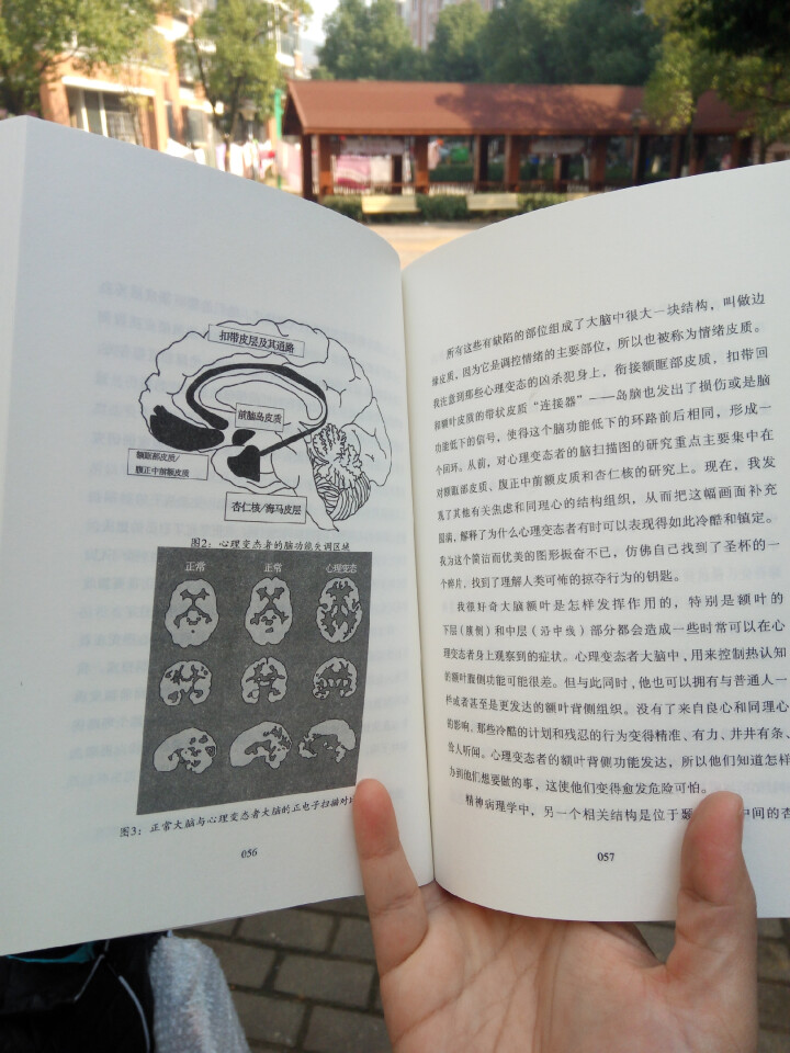 天生变态狂：TED心理学家的脑犯罪之旅怎么样，好用吗，口碑，心得，评价，试用报告,第4张