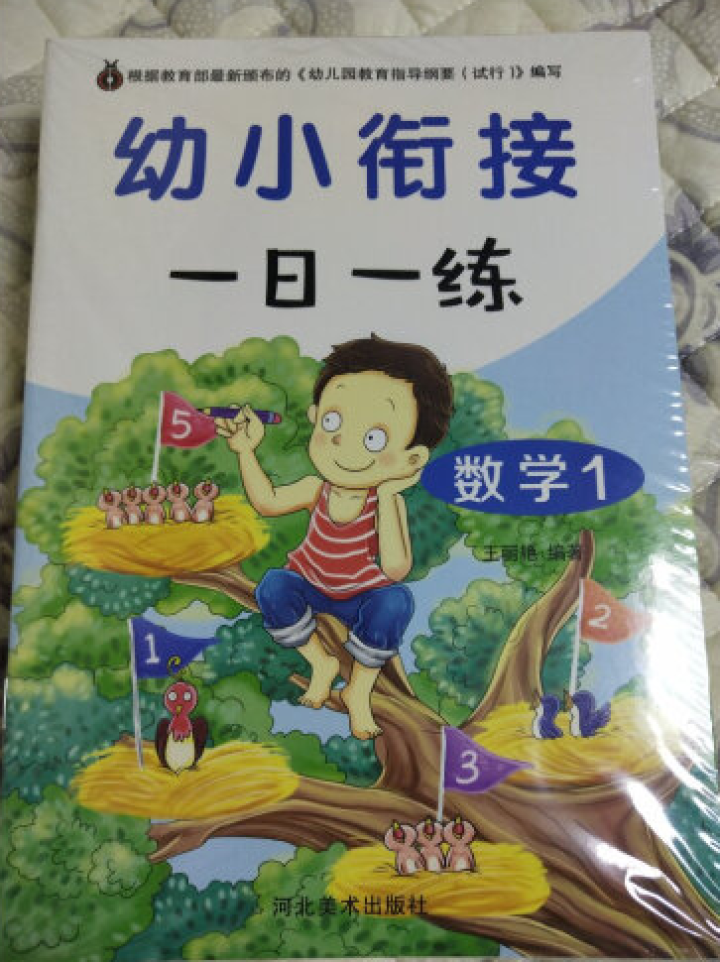 幼小衔接一日一练 数学+拼音+语言+偏旁部首全十册 幼儿早教书 根据幼儿园教育指导纲要试行编写怎么样，好用吗，口碑，心得，评价，试用报告,第4张