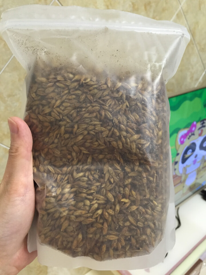 大麦茶 原味烘焙型炒麦芽茶五谷茶搭回奶茶断奶茶花草茶 500g/袋怎么样，好用吗，口碑，心得，评价，试用报告,第3张