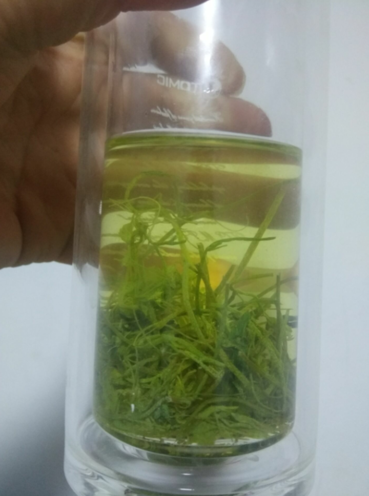 万福草 平利绞股蓝茶 深山野生精选嫩芽龙须 甘味绞股蓝龙须茶250克怎么样，好用吗，口碑，心得，评价，试用报告,第4张