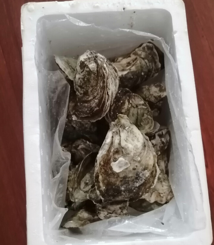 鲜博汇 鲜活程村生蚝 刺身生蚝 牡蛎海蛎子 大蚝 2.5kg （20,第4张