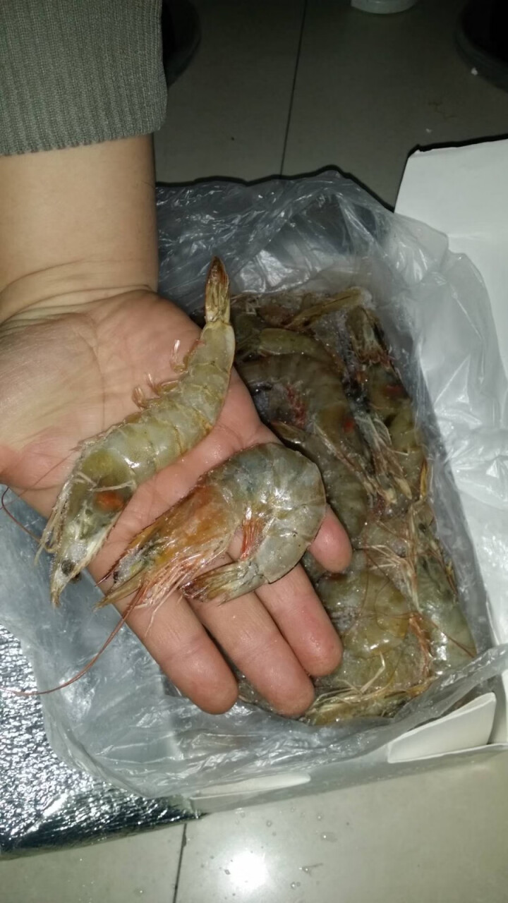 伯乐生鲜 冷冻厄瓜多尔白虾2kg 生鲜 大虾 海鲜水产 约70只 盒装怎么样，好用吗，口碑，心得，评价，试用报告,第7张