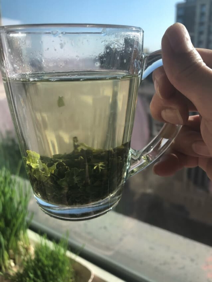 仙芝竹尖 绿茶250g 四川茶叶 峨眉高山云雾绿茶 2019明前散装新茶 特级怎么样，好用吗，口碑，心得，评价，试用报告,第3张