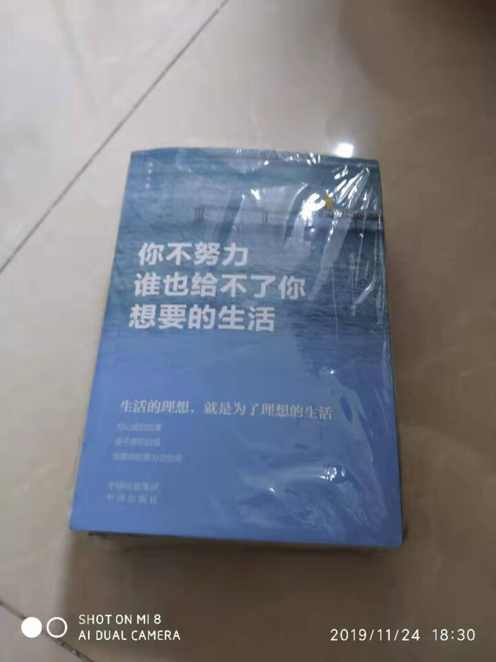 全五册你不努力谁也给不了感谢现在拼命的自己余生很贵请勿浪费青少年本青春励志心灵鸡汤自我提升励志书籍怎么样，好用吗，口碑，心得，评价，试用报告,第2张