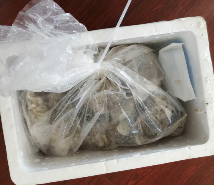 鲜博汇 鲜活程村生蚝 刺身生蚝 牡蛎海蛎子 大蚝 2.5kg （20,第3张